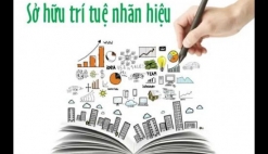 XỬ LÝ KHI CÓ SỰ VI PHẠM NHÃN HIỆU