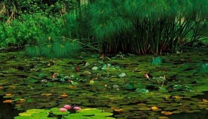 Đăng ký biến động quyền sử dụng đất do thay đổi về hạn chế quyền sử dụng đất
