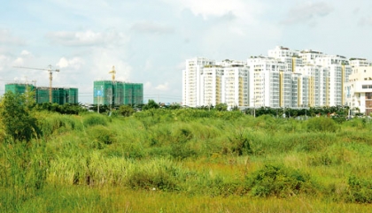 Chuyển mục đích sử dụng đất trồng cây sang đất ở