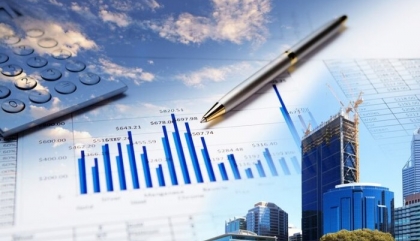 The enterprise registration document with the one member company limited is 100 per cent foreign investment capital? 