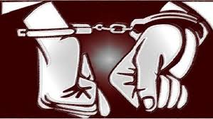 toi-trom-cap-tai-san-hay-toi-chiem-doat-chat-ma-tuy